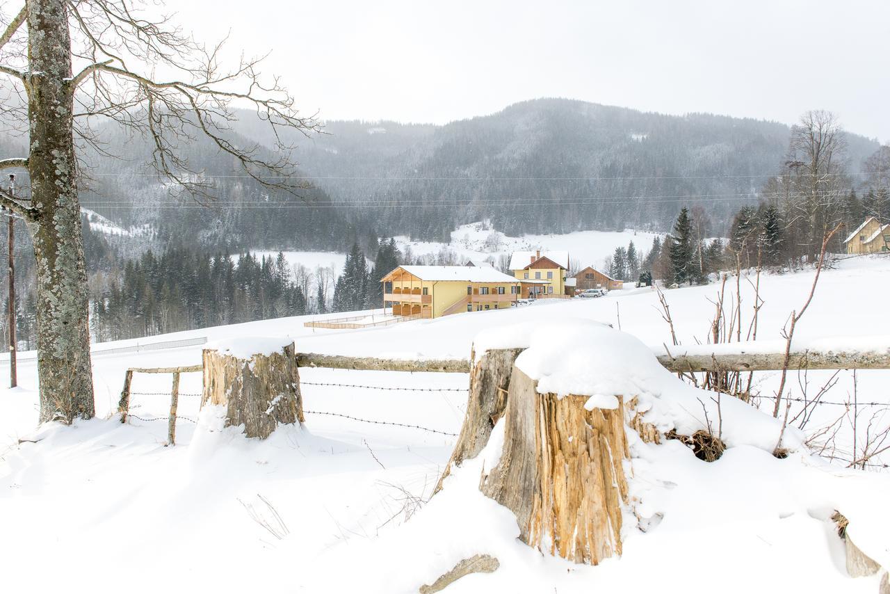 Gasthof Wachter Gaal Екстериор снимка
